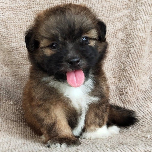 100520588 847513122402012 3294158754035007488 n