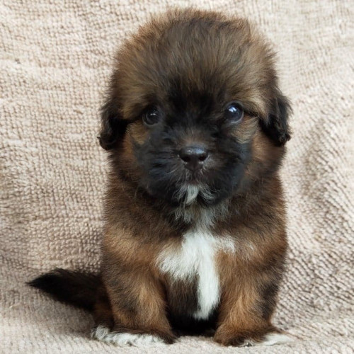 100536069 256084855823551 4724530211046031360 n