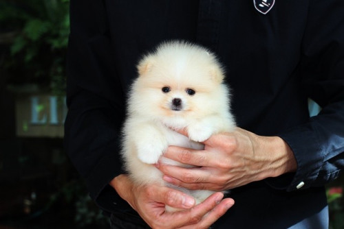 22563 ๒๐๐๕๒๒ 0012