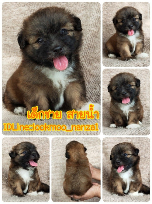 99158875 552904165597789 328178970778402816 n