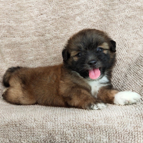 99422527 1047487255647479 2205518951205568512 n