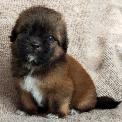 99432053 276641366849960 2975821833959374848 n