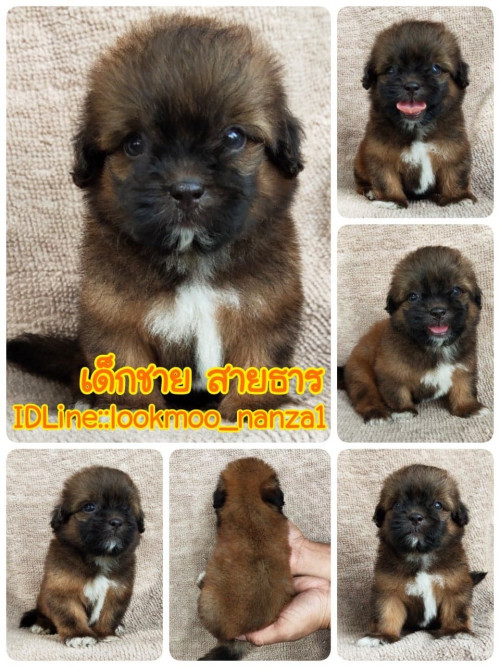 99436571 175474063842963 8543216875511742464 n