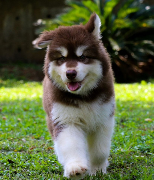 98361724 4053018531382601 9026440849960992768 o