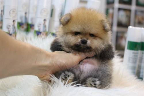 ผู้55000 200529 0003