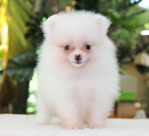 28563 1 ๒๐๐๕๒๘ 0008