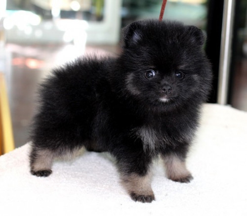 28563 3 ๒๐๐๕๒๘ 0003