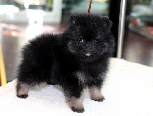 28563 3 ๒๐๐๕๒๘ 0006