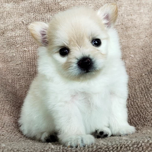 103498157 698296924338525 6659219933316557943 n