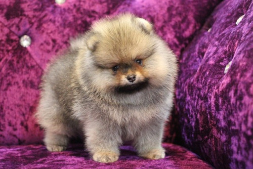 11663 2 ๒๐๐๖๑๑ 0005