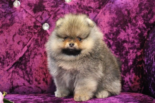 11663 2 ๒๐๐๖๑๑ 0009