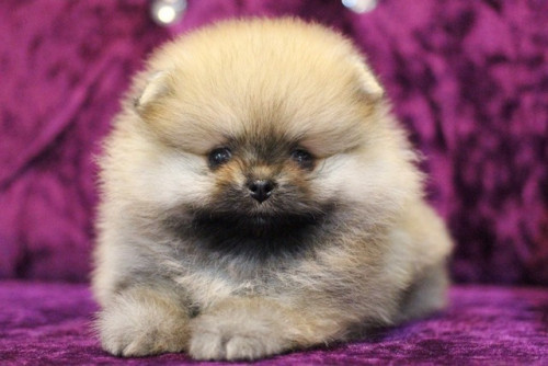 ff ๒๐๐๖๑๔ 0001