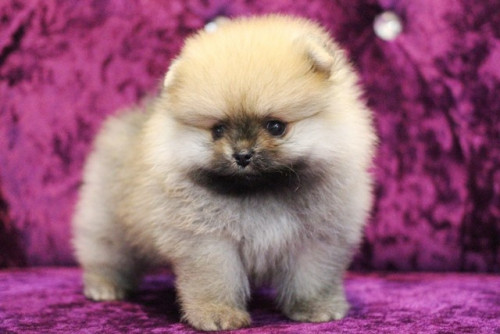 ff ๒๐๐๖๑๔ 0005