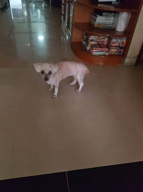 104315308 166616918205197 3295722846809796802 o