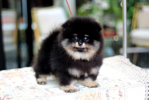 20200112 200115 0007