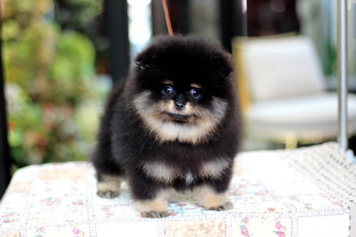 20200112 200115 0019