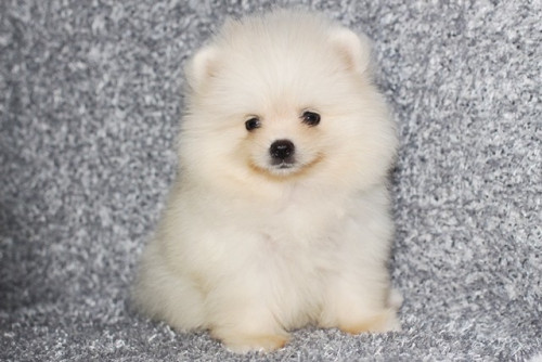 25663 1 ๒๐๐๖๒๕ 0001