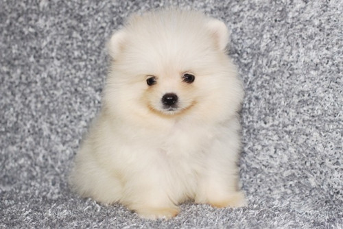 25663 1 ๒๐๐๖๒๕ 0003