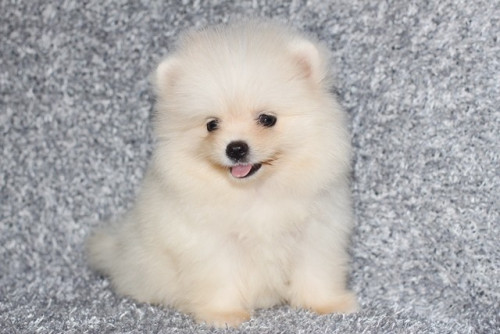 25663 1 ๒๐๐๖๒๕ 0006