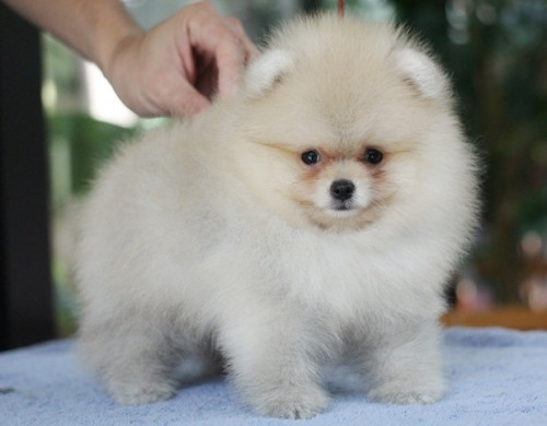 25663 3 ๒๐๐๖๒๕ 0008