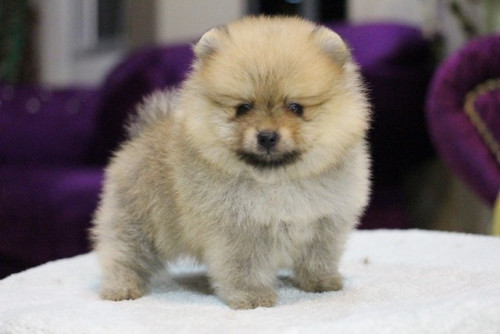 28663 3 ๒๐๐๖๒๙ 2