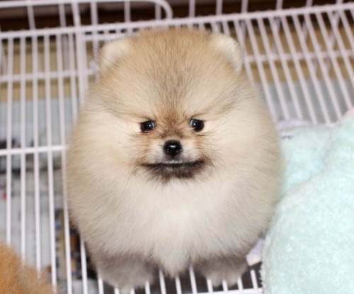 28663 ๒๐๐๖๒๙ 3