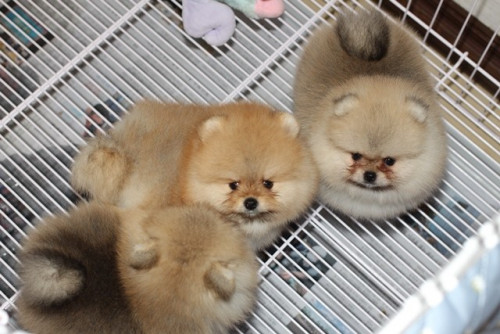 28663 ๒๐๐๖๒๙ 6