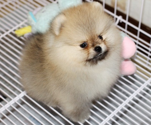 28663 ๒๐๐๖๒๙ 8