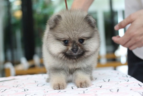 3763 6 ๒๐๐๗๐๓ 8