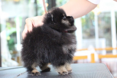 3763 5 ๒๐๐๗๐๓ 4