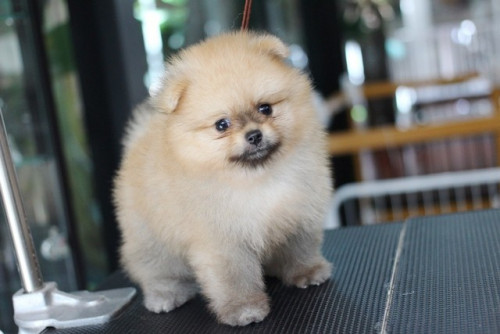 3763 2 ๒๐๐๗๐๓