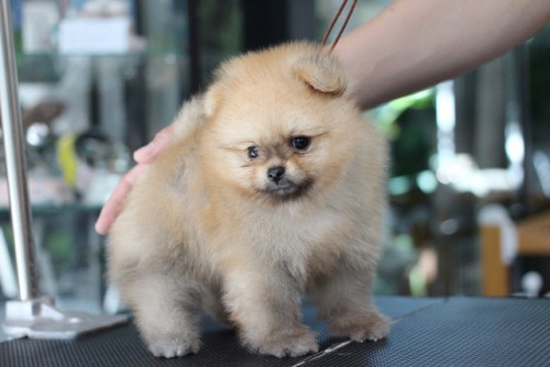 3763 2 ๒๐๐๗๐๓ 1