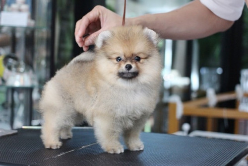 3763 2 ๒๐๐๗๐๓ 5