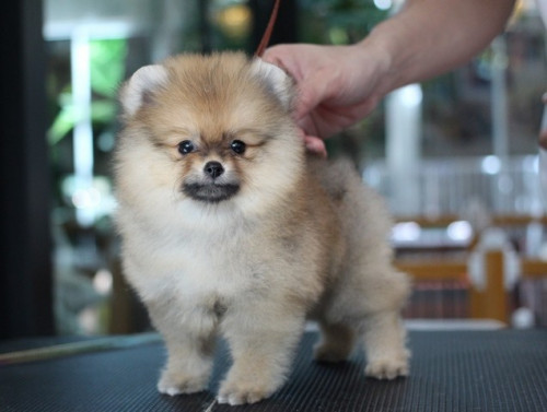 3763 2 ๒๐๐๗๐๓ 7