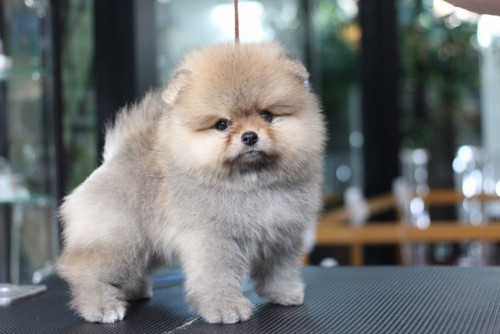 3763 ๒๐๐๗๐๓ 1