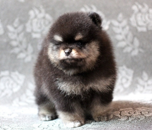 m195 ๒๐๐๘๑๙ 5