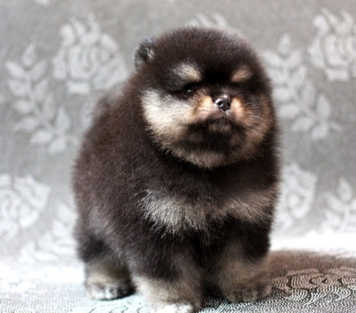 m195 ๒๐๐๘๑๙ 6