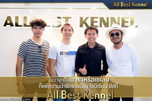 44315841 2143285592372990 6309415289784107008 n