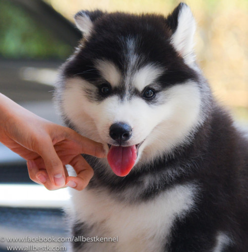 21366630 1643736832327871 1257677951652007804 o