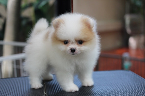 ผู้28000 200827 3