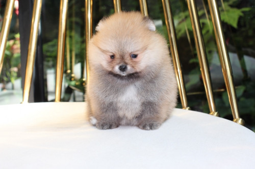 female65000 200909 6