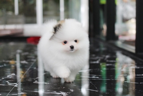 26963 4 ๒๐๐๙๒๖ 6