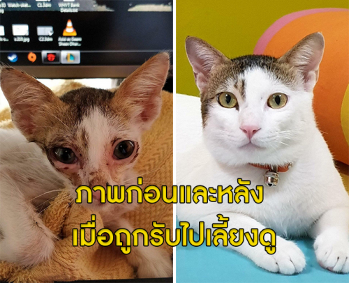 7.png