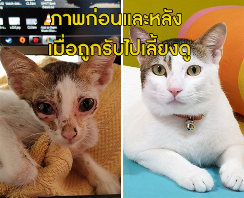 707e948af59ce43a5.png