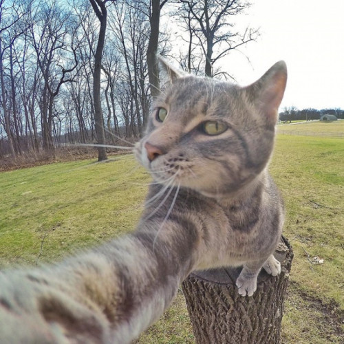 2b7520f9a70aba2b5.jpg
