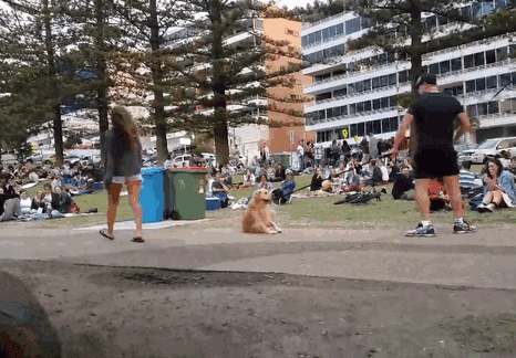 3.gif
