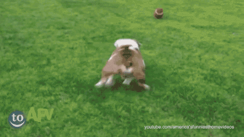 3c4953cdf31bba084.gif