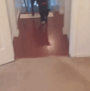 9.gif