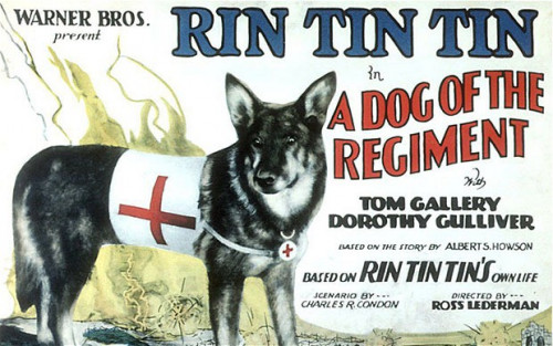 DOGS IN FILMS...No Merchandising. Editorial Use Only. No Book Cover Usage Mandatory Credit: Photo by