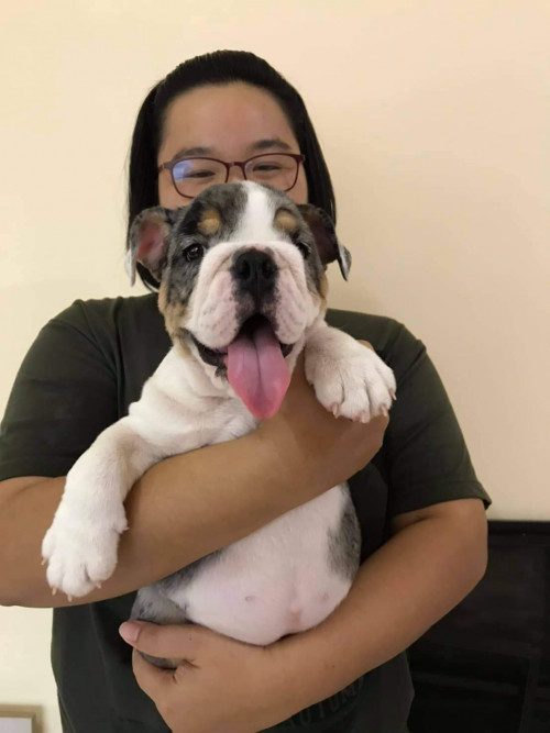 received 2955013198097423